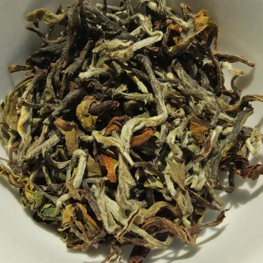 Nepal White Tea Sample